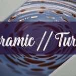 Where to Buy Your Next Ceramic Turtle to Paint